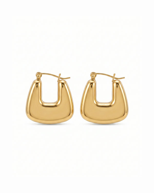 Golden Purse Design Earrings