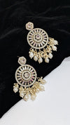 Dreamy Beige Sparkling Crystal Long Beads Earrings