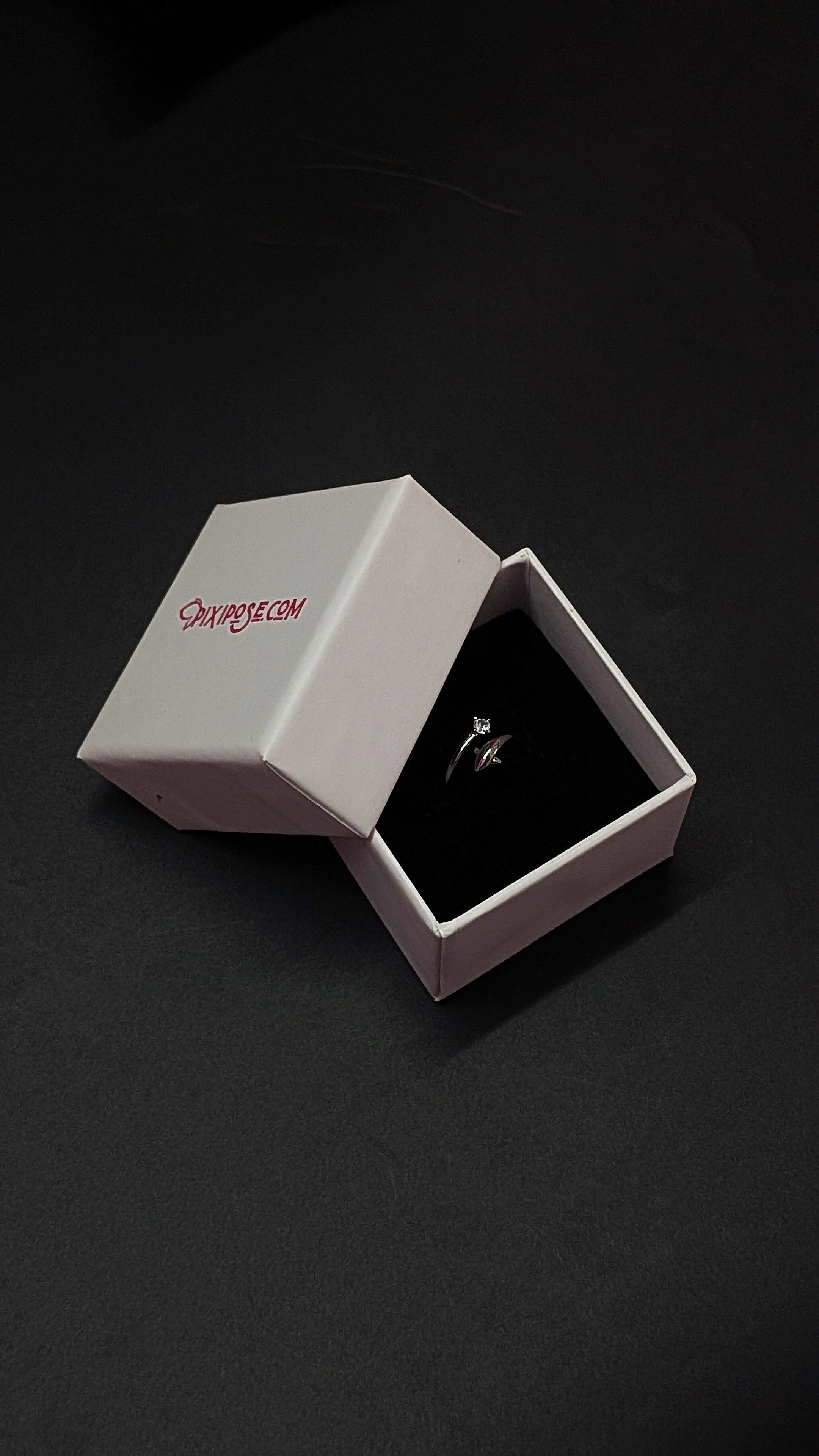 Silver Dolphin Ring with Crystal Accent