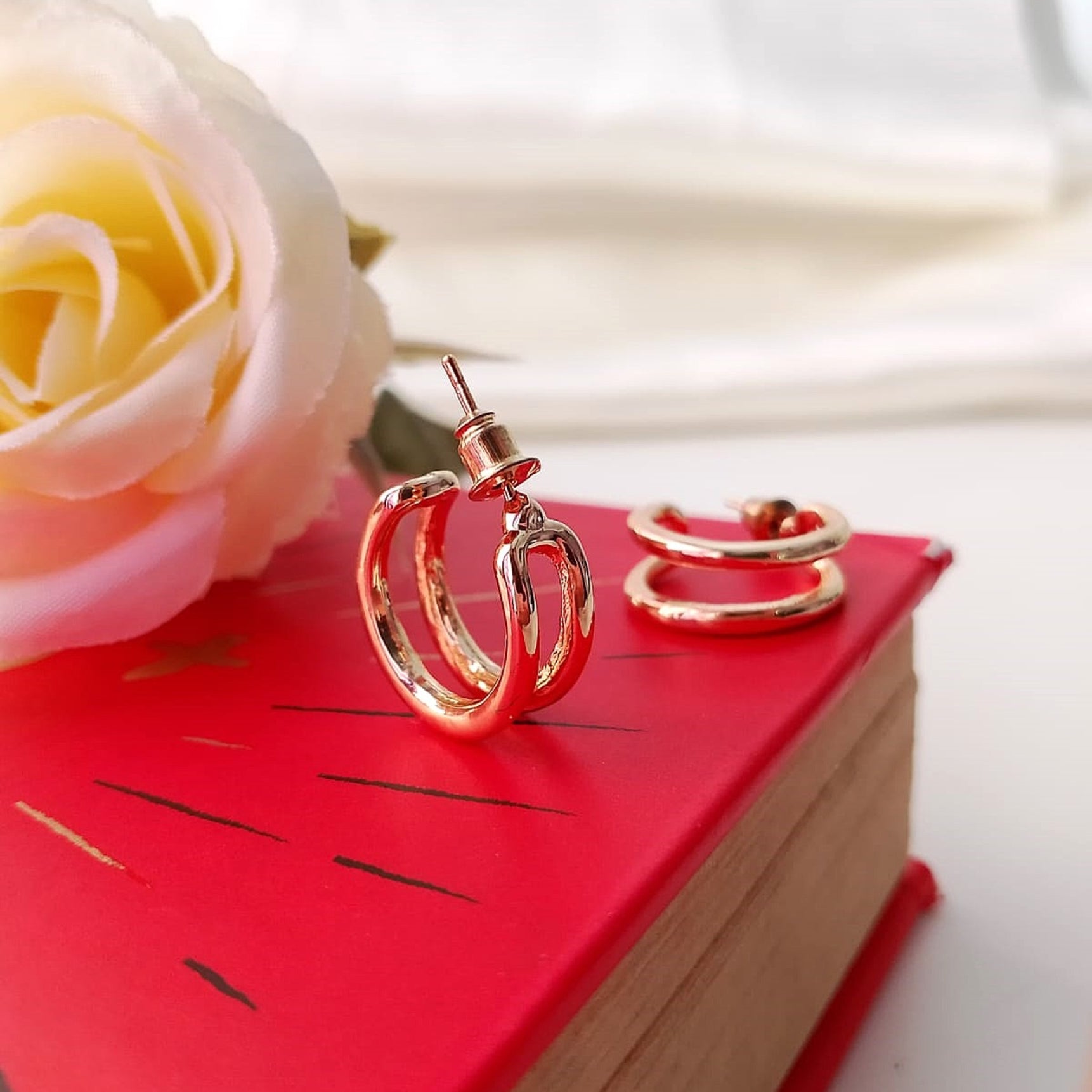 Golden Duo Hoops Earrings