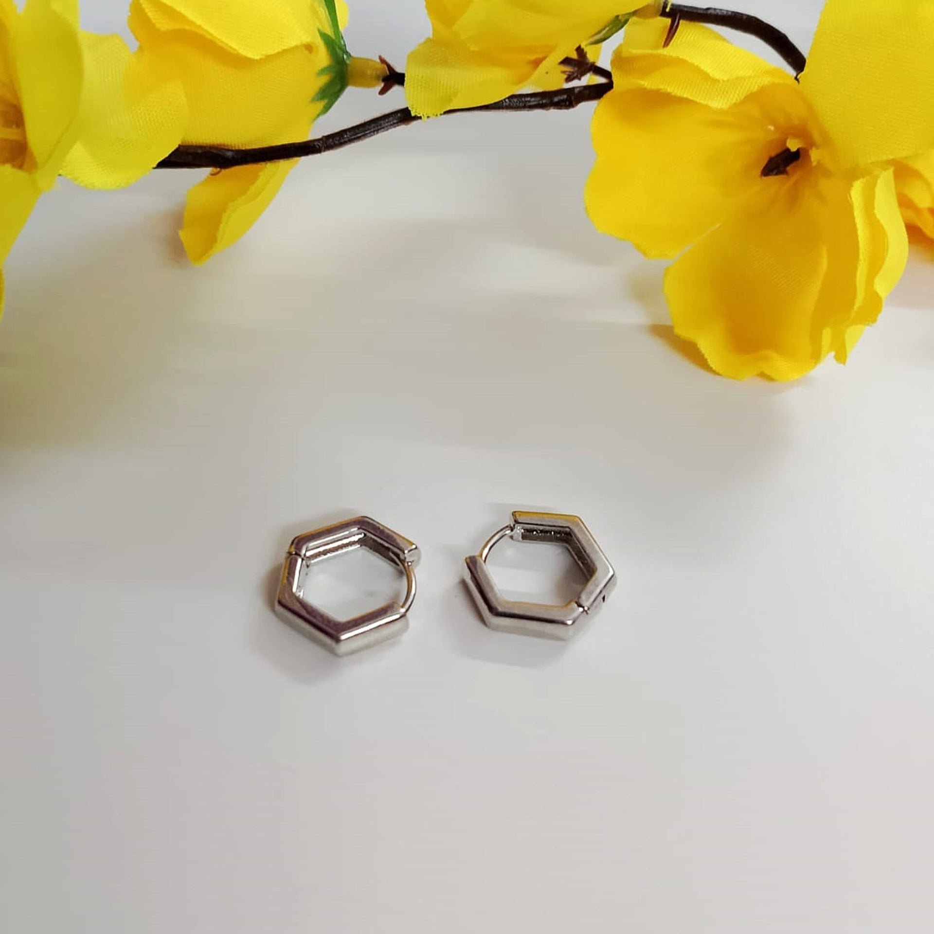 Silver Aura Bobby Hoops