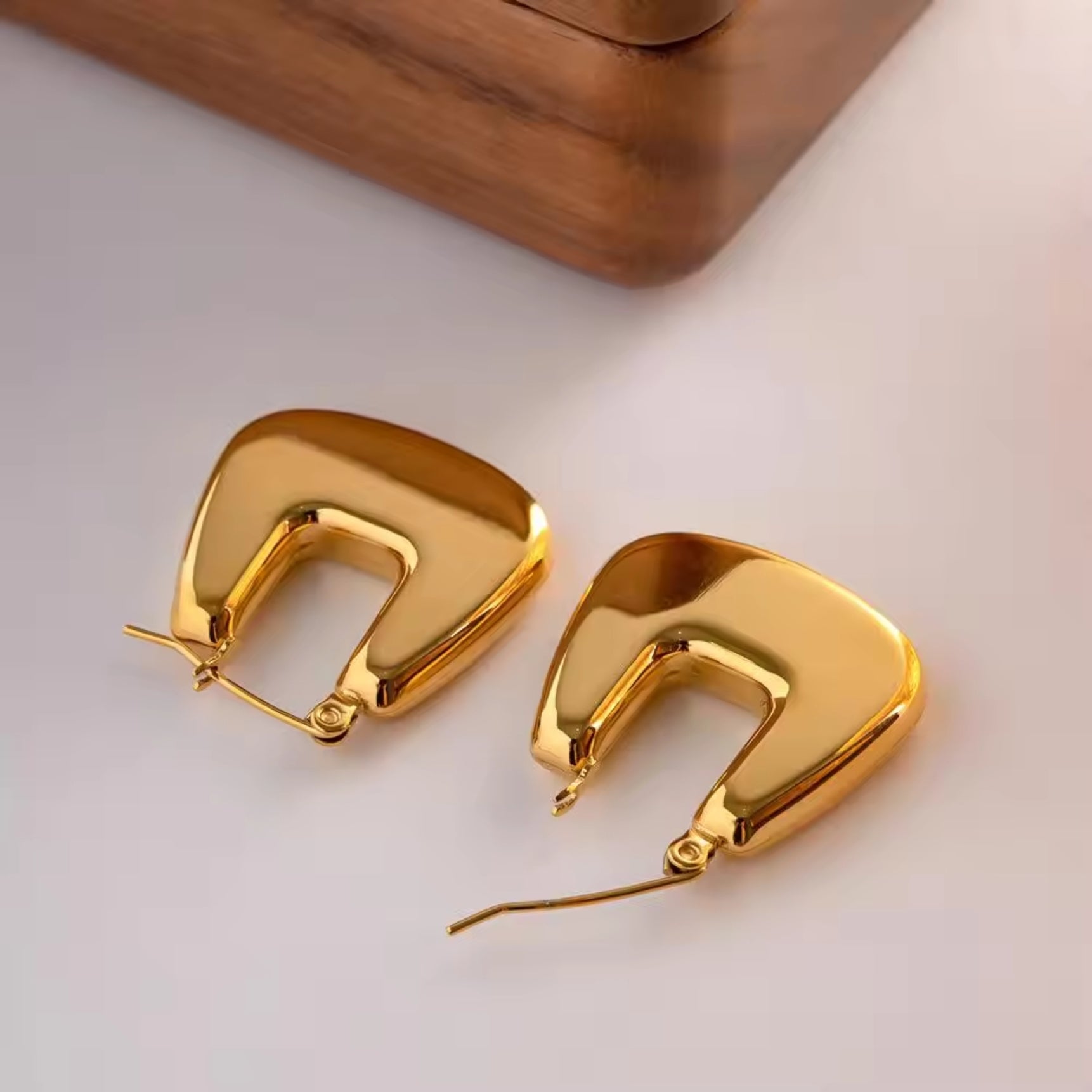 Golden Purse Design Earrings