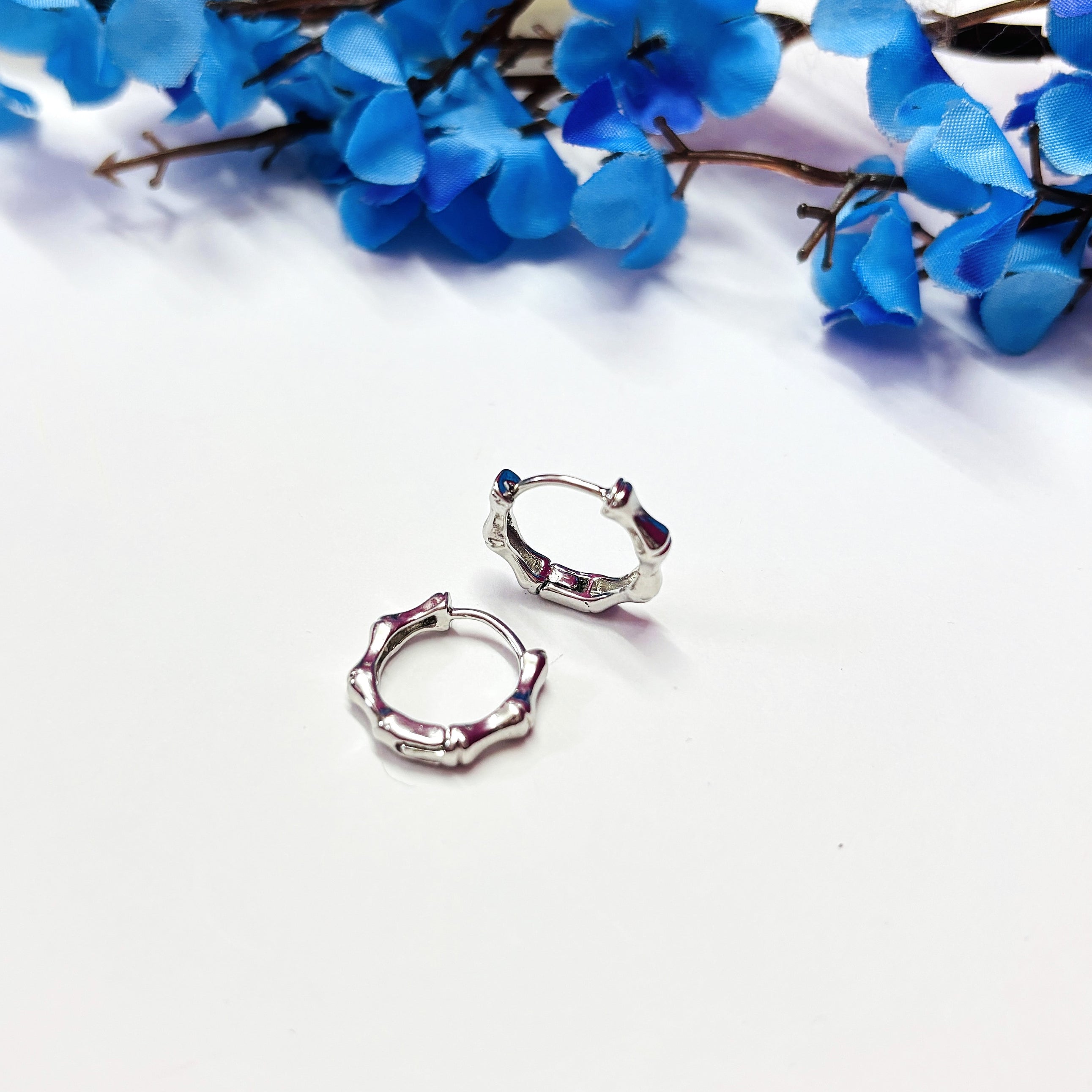 Silver Gleam Bobby Hoops Set