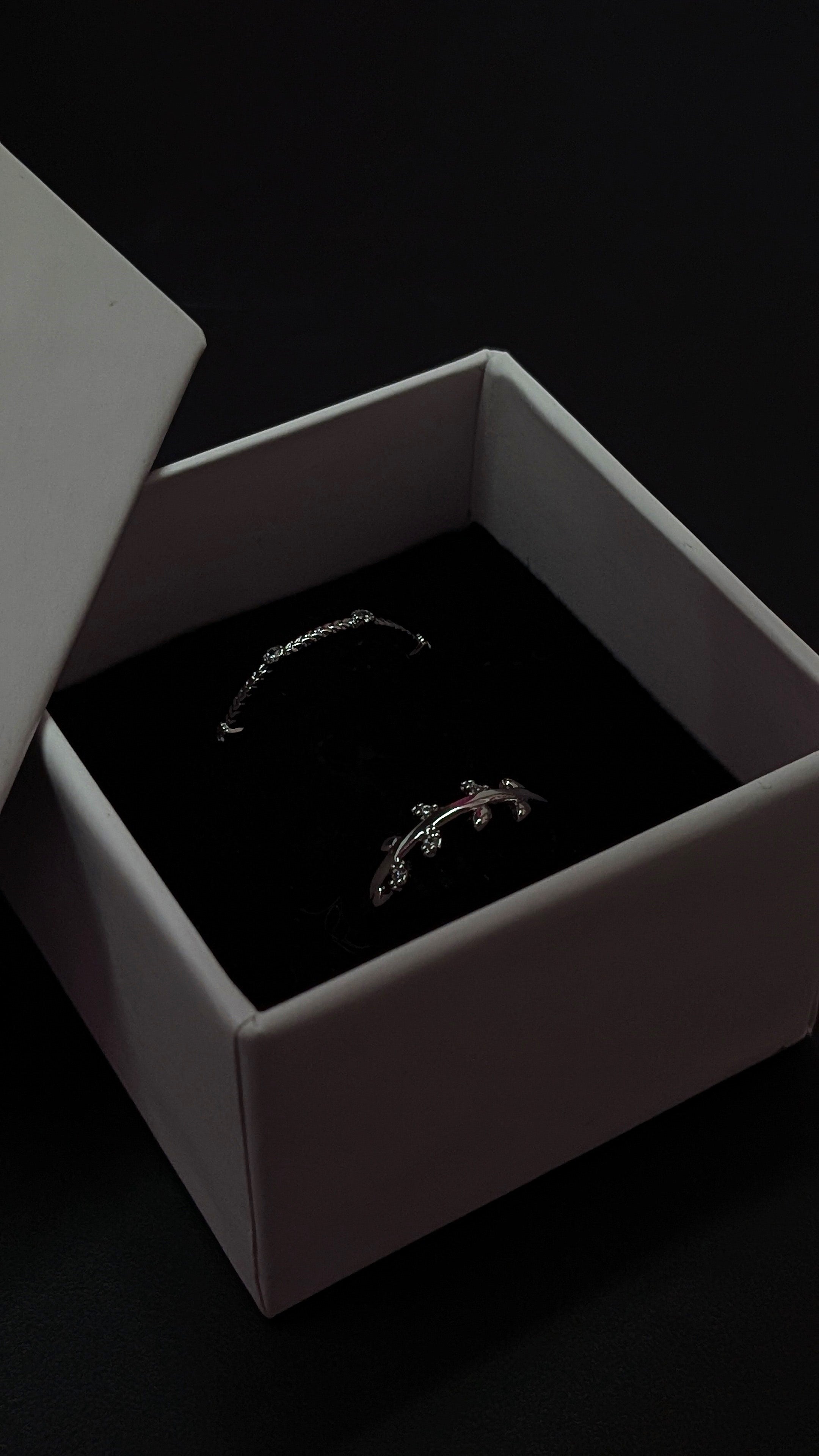 Minimal Silver Adjustable Couple Rings